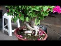 Beginning of video