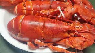 Quick & Easy to Cook Fresh Lobsters