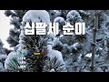은성 반주기 십팔세순이 나훈아 은성 반주기 십팔세순이 나훈아