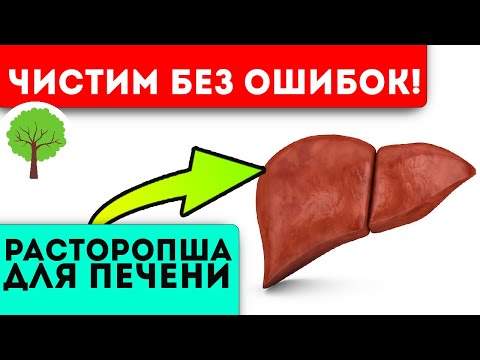 Мало кто знает, а зря! Вот как правильно чистить печень от токсинов расторопшей