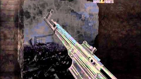 CoD2 B2F MP-44 (preview)