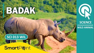 MENGENAL BADAK (SCI013WIL)