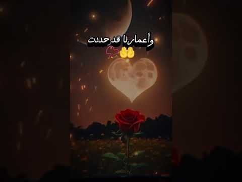 يحارب الإنسان طول حياة من أجل الدنيا وعندما يموت لا تمنحه الدنيا سوى قطعة أرض متر بتمرين ليدفن فيها 