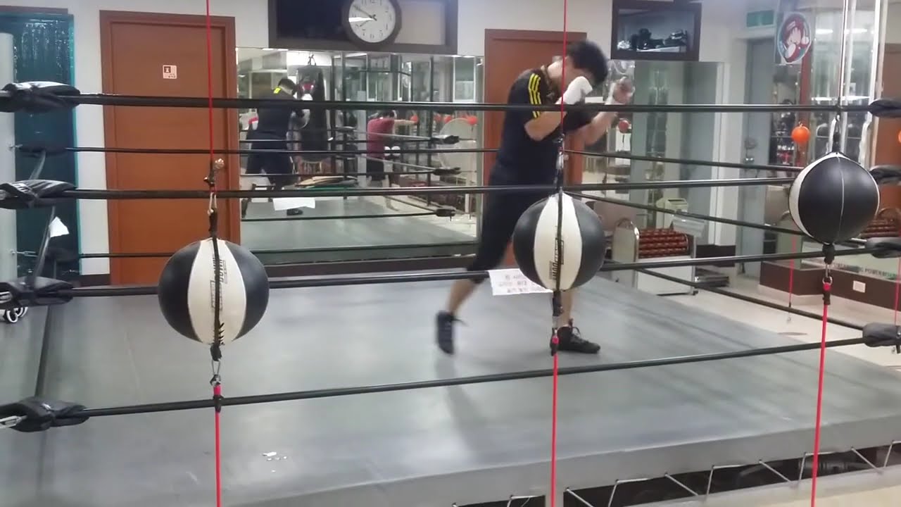 강동구 성내동 김정범 관장의 5년만의 운동1