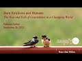 Barn swallows  humans coexistence in a changing world  rebecca safran september 2023