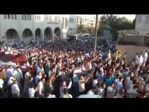 زهرة الاقحوان كل عام وأنت الشام