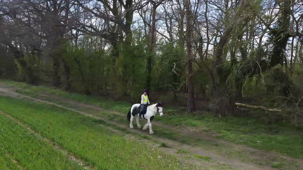 Horse riding Wood Street Village in Spring | Drone