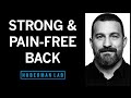 Protocols to strengthen  pain proof your back
