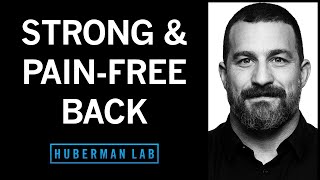 Protocols to Strengthen & Pain Proof Your Back by Andrew Huberman 150,188 views 4 days ago 2 hours, 8 minutes