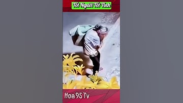 Khoảnh Khắc đẹp từ bà cụ NHẶT VE CHAI 🥰#hoa95tvanimal #shorts