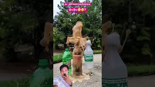 PUTTING MENTOS IN COLA⁉️ WOW IT BECAME A FOUNTAIN😱😍 PowerJoyScience