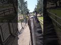 Carla Cool ЁЯШО Horse Cool Training Equine Equestrian Jumping Success Pferd Equestrianjourney Carla Cool ЁЯШО Horse Cool Training Equine Equestrian Jumping Success Pferd Equestrianjourney
