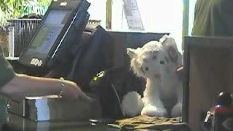 Gateway Ticketing - Galaxy