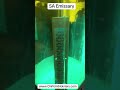 SA Emissary