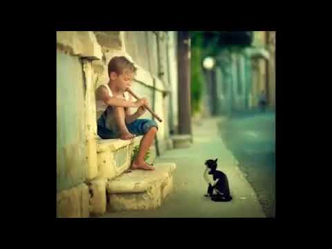 طفل مع قطة يعزف ناي بصوت حزين جدا مؤثر2020