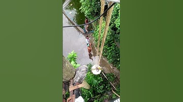 Damage transformer changing time #transformers #Lineman #linework