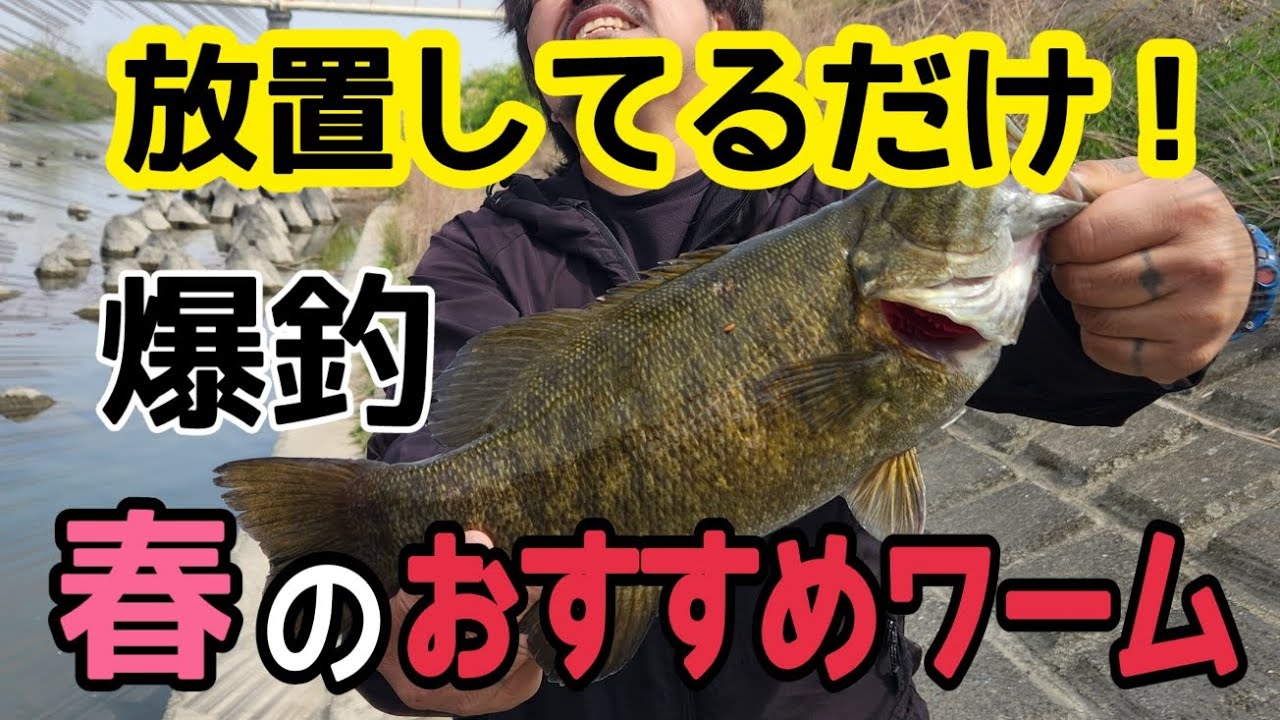 【バス釣り】放置してるだけで喰ってくる凄いワーム！今すぐショップに買いに行ってください！これがあれば怖くない！春の爆釣ワーム教えます！