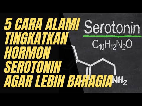 CARA MENINGKATKAN HORMON BAHAGIA | MENGAKTIFKAN HORMON BAHAGIA | HORMON BAHAGIA | SEROTONIN ADALAH