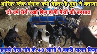 बेरोजगार युवा का शानदार ब्लैक बंगाल का देशी जुगाड़ वाला फार्म || Black Bangal Goat Farming Aurangabad