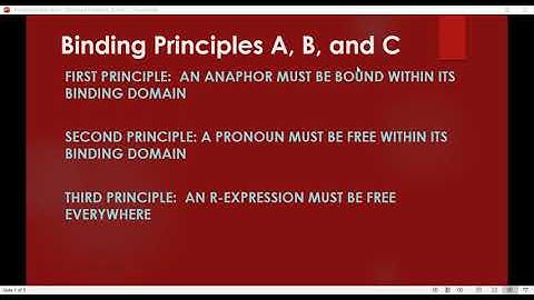 Binding Principles,  Binding Theory