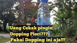 How to use metabolic for pleci ingredients