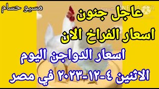 اسعار الفراخ البيضاء اليوم اسعار الدواجن اليوم الاثنين ٤-١٢-٢٠٢٣ في مصر