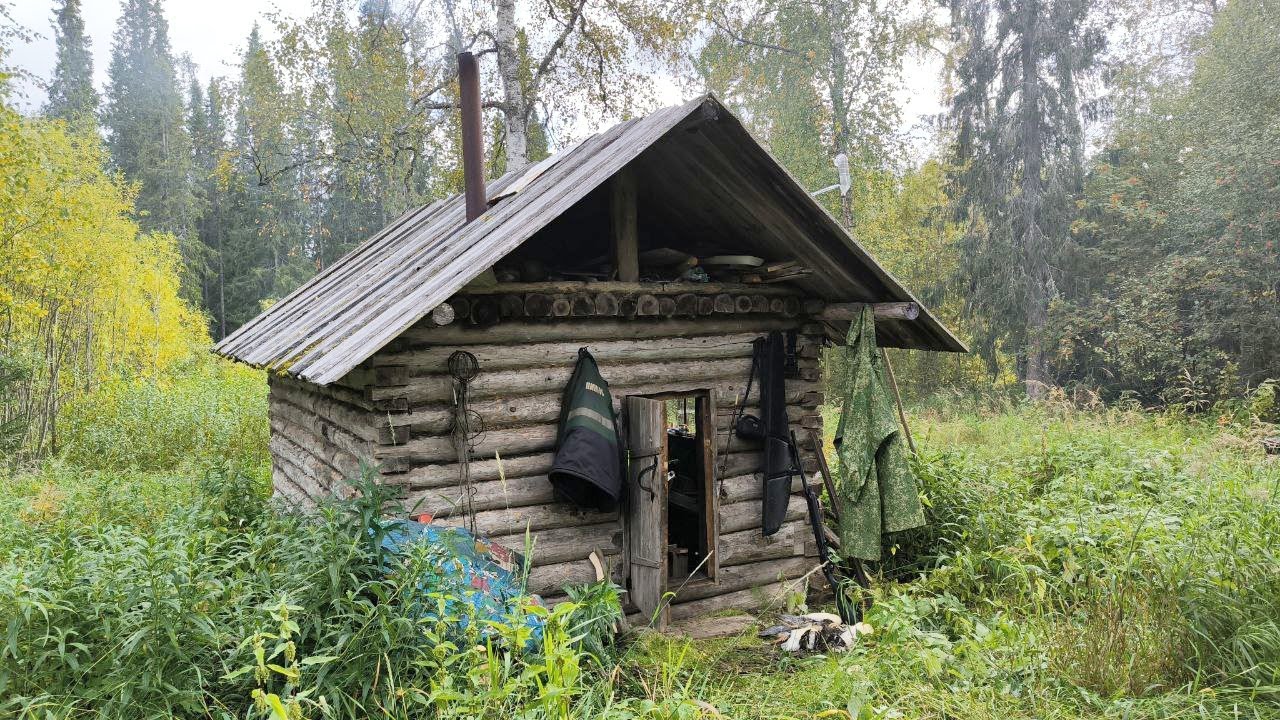 ЕДУ В ТАЙГУ ЗА ДЯДЕЙ / ОН ТАМ ОДИН ЖИВЁТ НЕСКОЛЬКО ДНЕЙ / ПРОБУЕМ ПОЙМАТЬ РЫБУ НА СКОРОСОЛКУ.