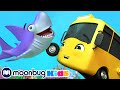 Buster Baby Shark Family! | Go Buster By Little Baby Bum | Nursery Rhymes & Baby Songs | ABCs & 123s