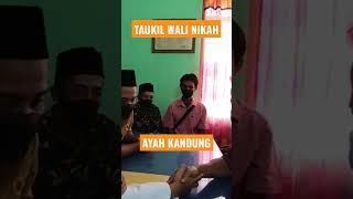 taukil wali #akadnikah ayah kandung #penghulu #kuangetos #penghuluviral #wedding