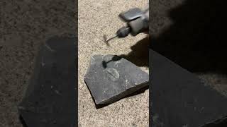 More Trilobite reveals!! #fossilhunter #fossil #trilobite #stone #clean More Trilobite reveals!! #fossilhunter #fossil #trilobite #stone #clean
