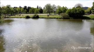 Plan d'eau à Metz - Est de la France
