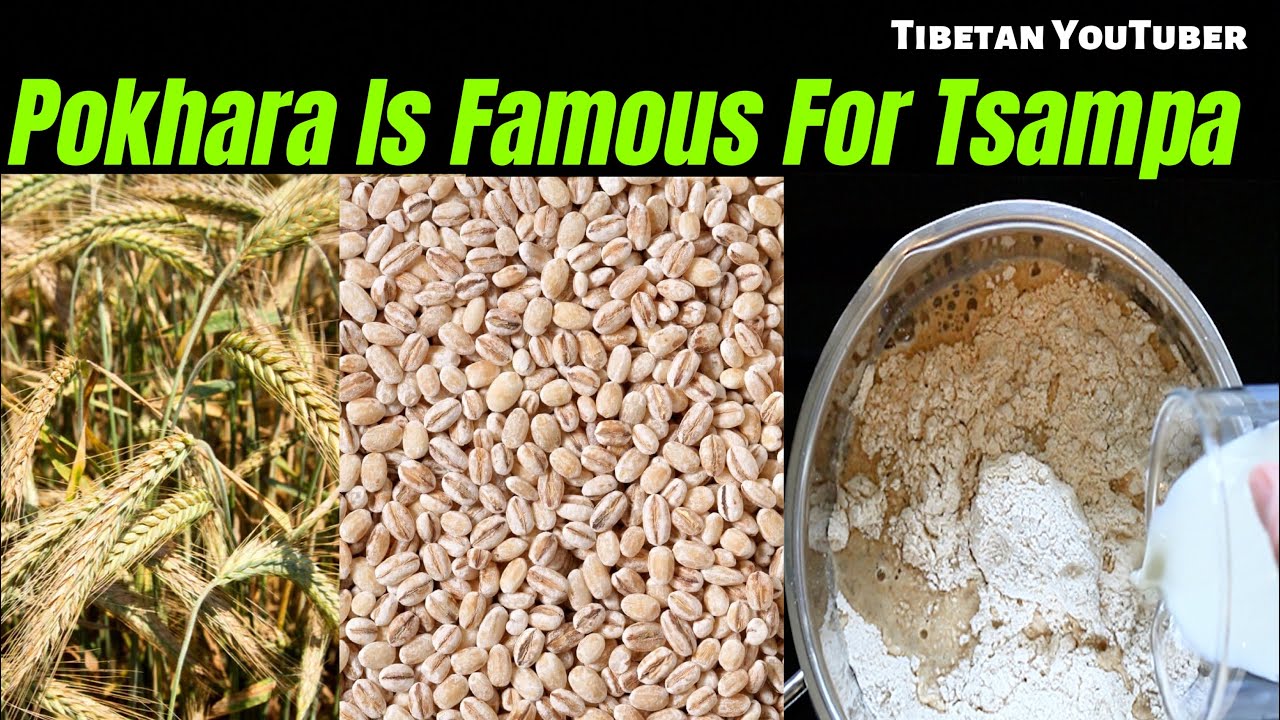 Process Of Making TSAMPA / Famous Pokhara Tsampa / Rosted Barley / Tibetan Staple Food / AT TAPAL 😋 