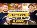 Бизнес на СТРИЖКЕ собак. Как открыть груминг салон? Бизнес идеи 2022