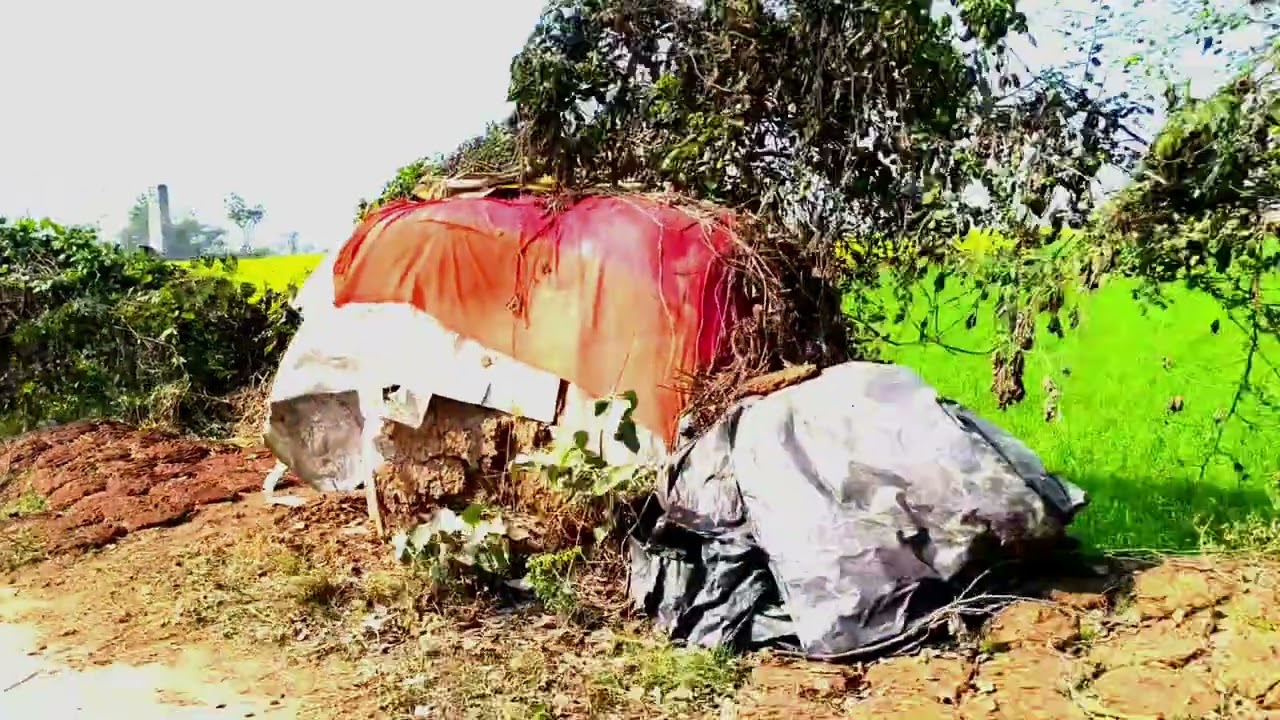 Desi life of 📉🫶Village Life natural life day -11