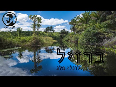 וִידֵאוֹ: הדברים הטובים ביותר לעשות בסאו פאולו, ברזיל