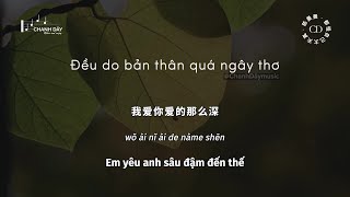[Vietsub] Đều do bản thân quá ngây thơ (都怪自己太天真) - Trần Mạn Mạn (陈曼曼)