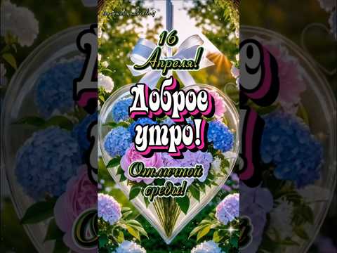 Доброго утра среды, друзья!💞🌷☕️#16 #апрель #среда #утро #сдобрымутром #популярное #рекомендации