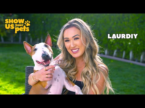 Moose & Craftopia's LaurDIY | Show Us Your Pets