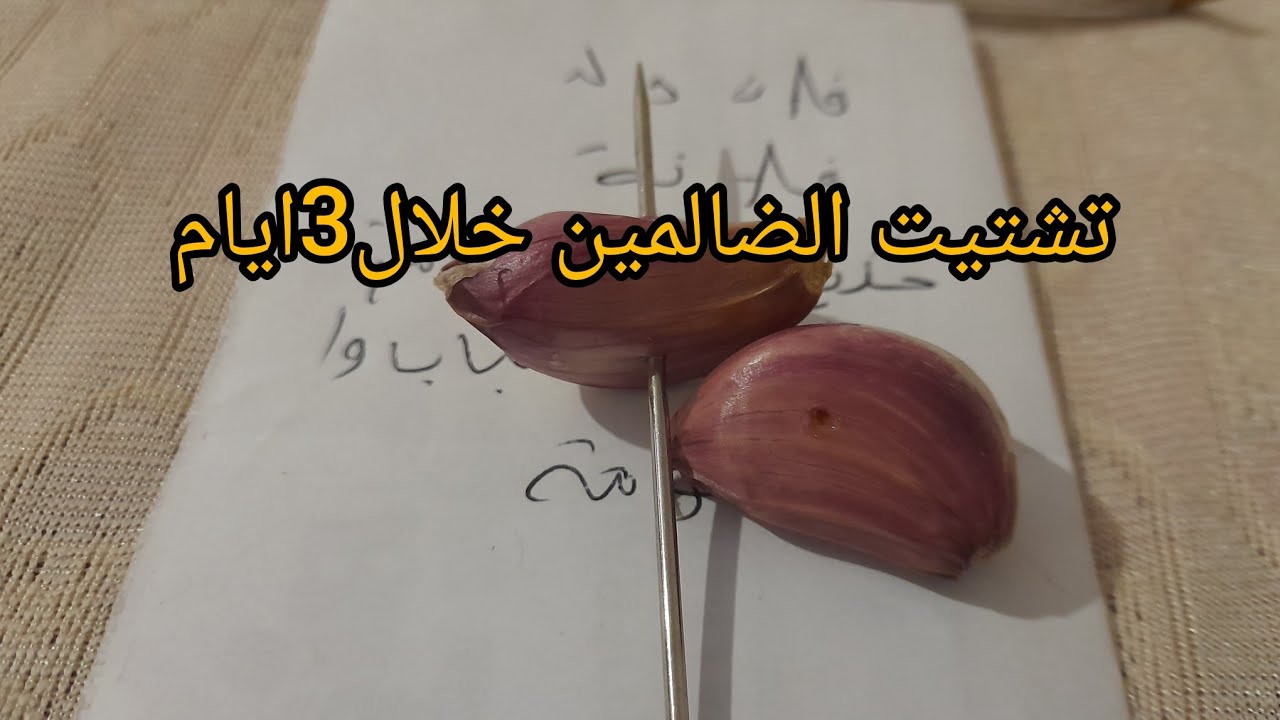 وصفة مجربة من سيدة اسبانيا لتشتيت أعداء وترحيلهم👌💯💯