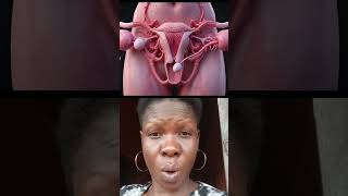 Menstrual cycle is 3D animation #youtubeshorts #menstrualcycle #science