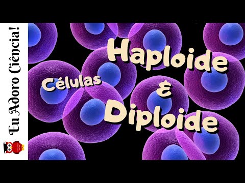 Vídeo: Fosfolipase A 2 Na Biologia Da Pele: Novas Idéias De Camundongos Manipulados Por Genes E Lipidômica