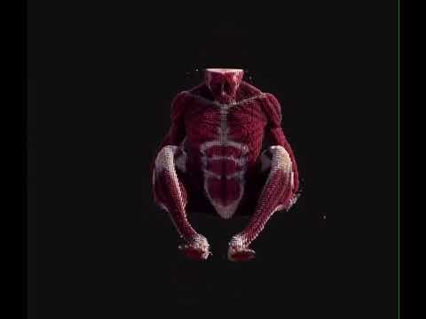 Simulation shows what happens to human body in a submersible implosion.