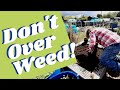 Stop Weeding your Garden! - How to weed a vegetable patch