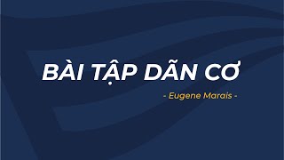 Epga Bài Tập Dãn Cơ