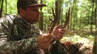 All day turkey hunt for an Arkansas gobbler!