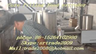 core filling snacks food processing line