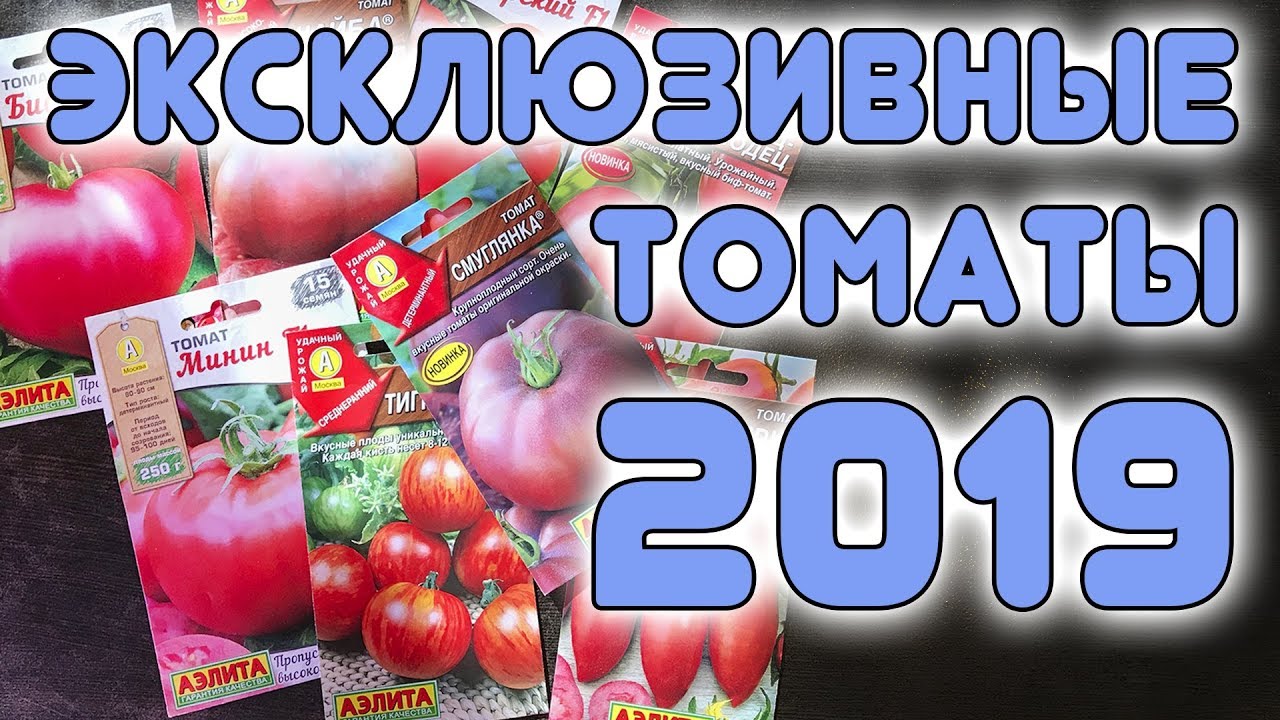 Эксклюзивные томаты 2019 + розыгрыш