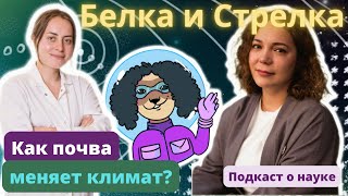 картинка: Как почва меняет климат?