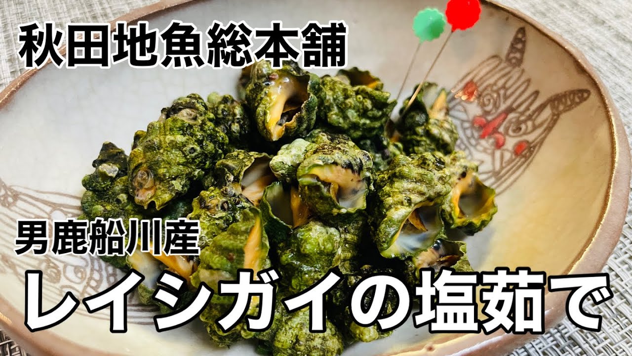 【秋田地魚総本舗】男鹿船川産 レイシガイの塩茹で