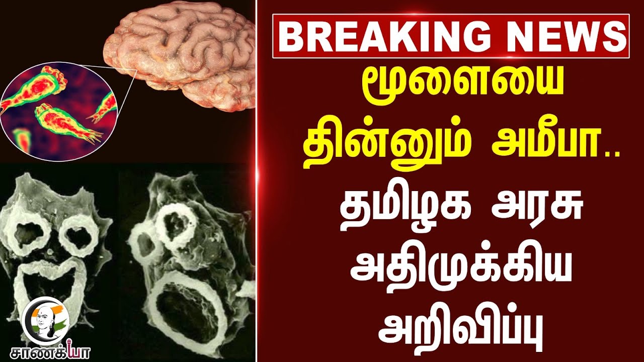 #breakingnews : மூளையை தின்னும் Amoeba... தமிழக அரசு அதிமுக்கிய அறிவிப்பு... | TN Govt